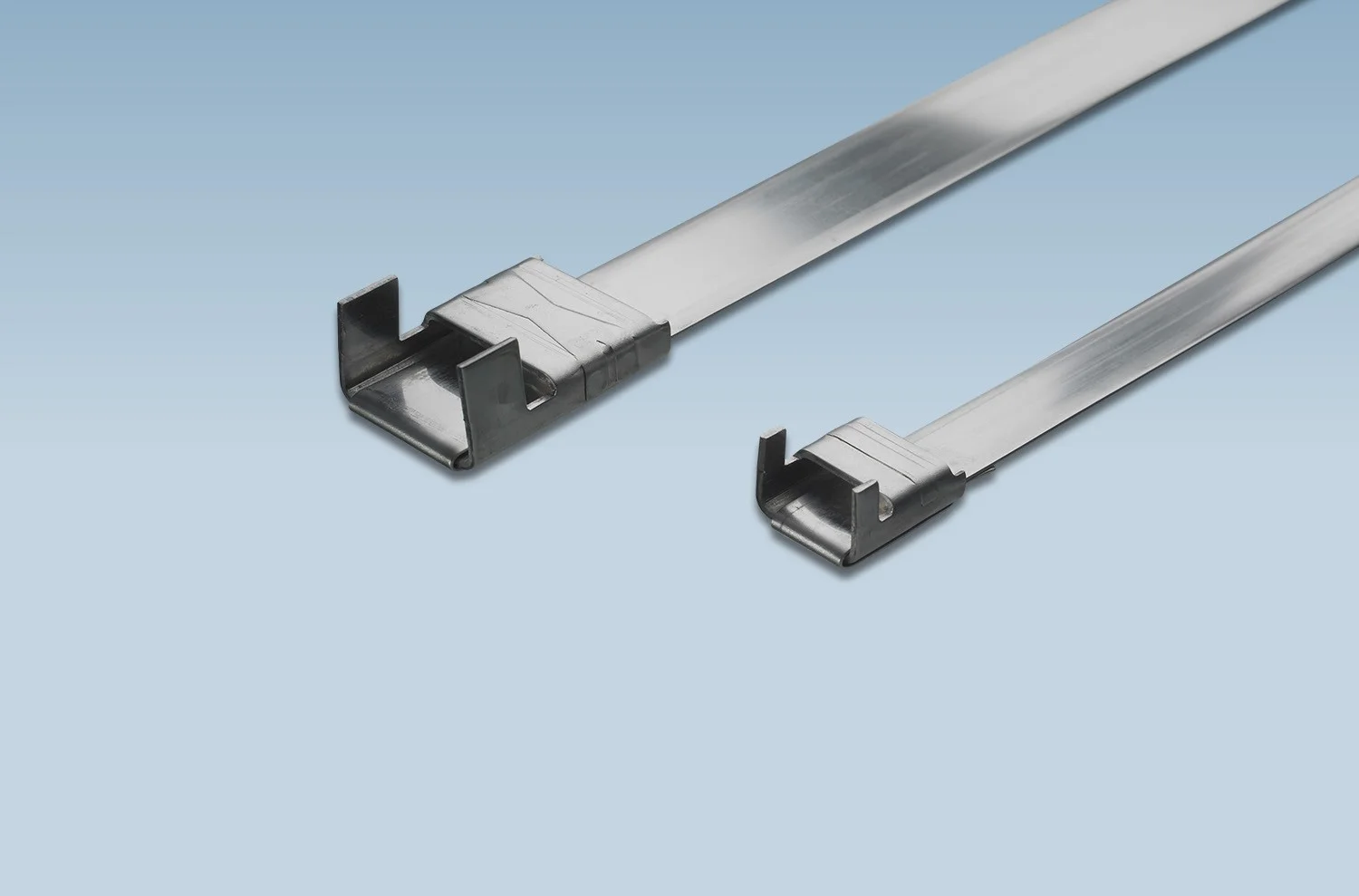 SS Band Fixed Length Uncoated